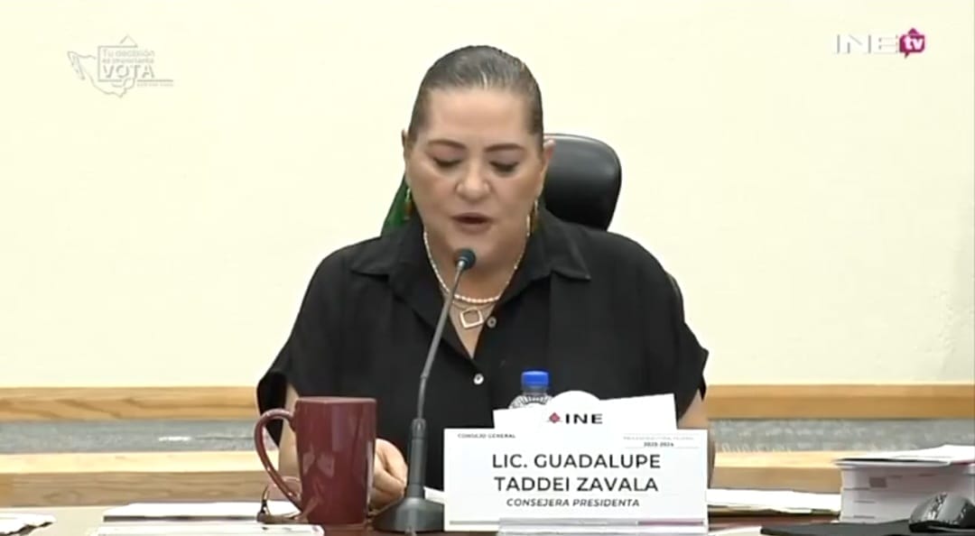 nxnoticias.com-llama-taddei-a-xochitl-y-a-organizaciones-a-no-usar-el-color-rosa-en-marcha-del-domingo