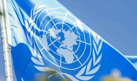 nxnoticias.com-onu-dh-pide-a-autoridades-electas-asumir-agenda-contra-la-tortura