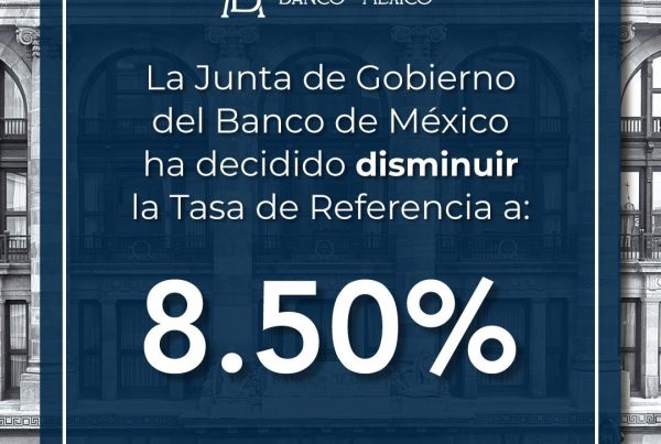 nxnoticias.com-borrador-automatico