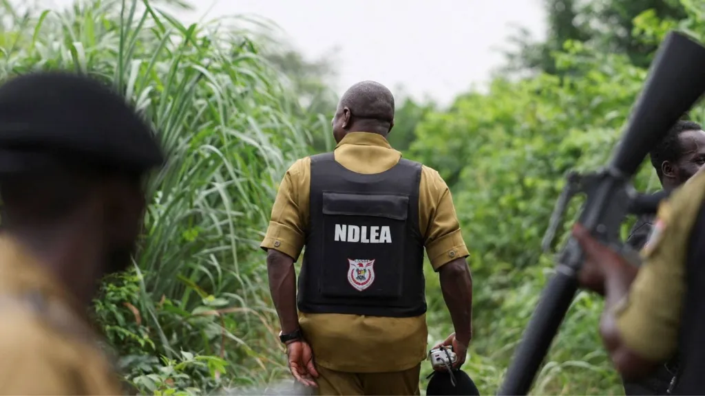 Cárteles mexicanos tienen presencia en Nigeria.