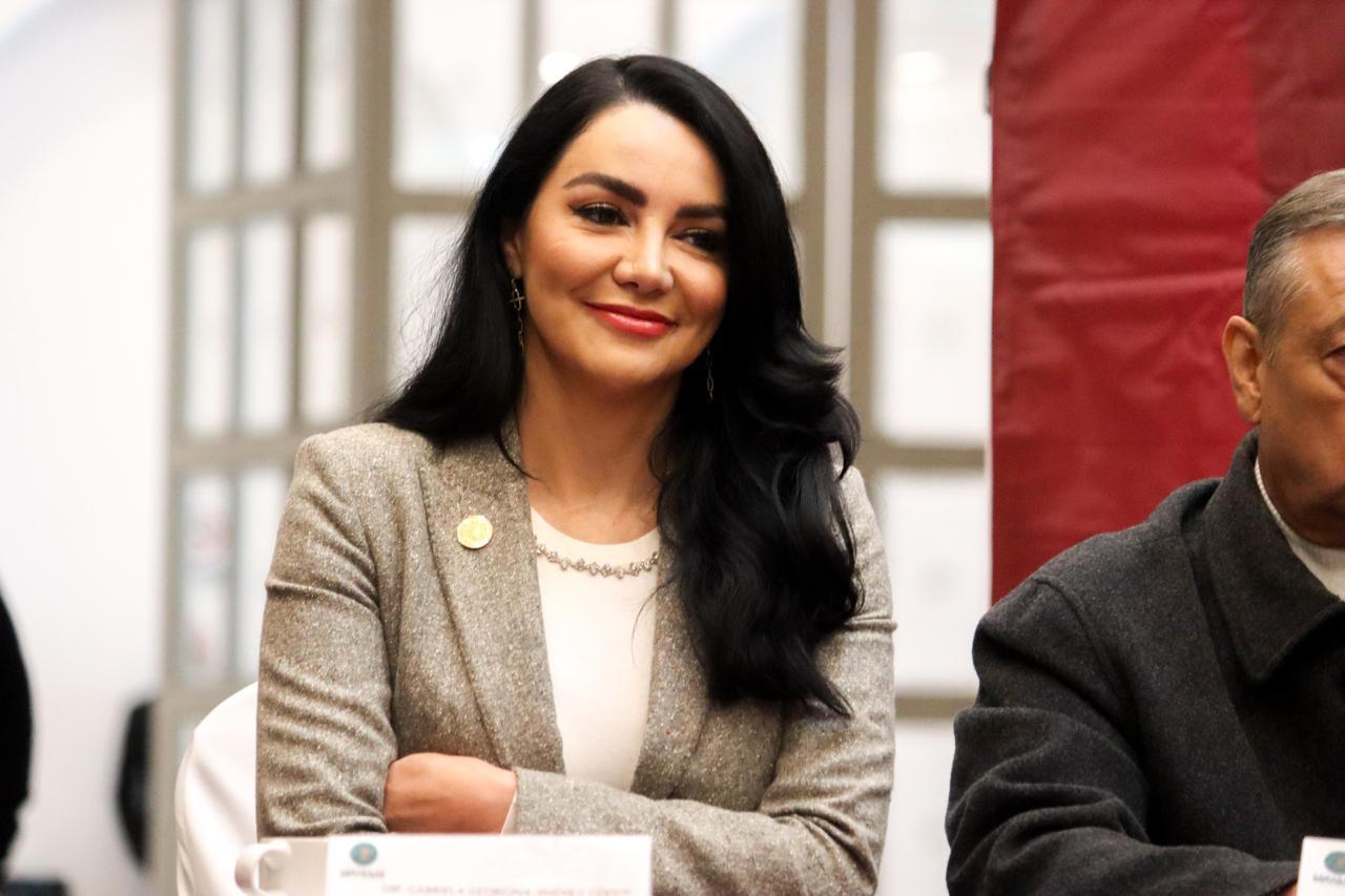 Diputada de Morena, Gabriela Jiménez Godoy.