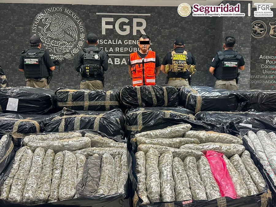 Decomisan marihuana en Tabasco.