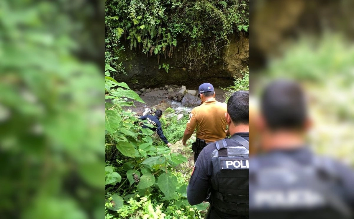 Jaguar en Ixtapan de la Sal, Estado de México.