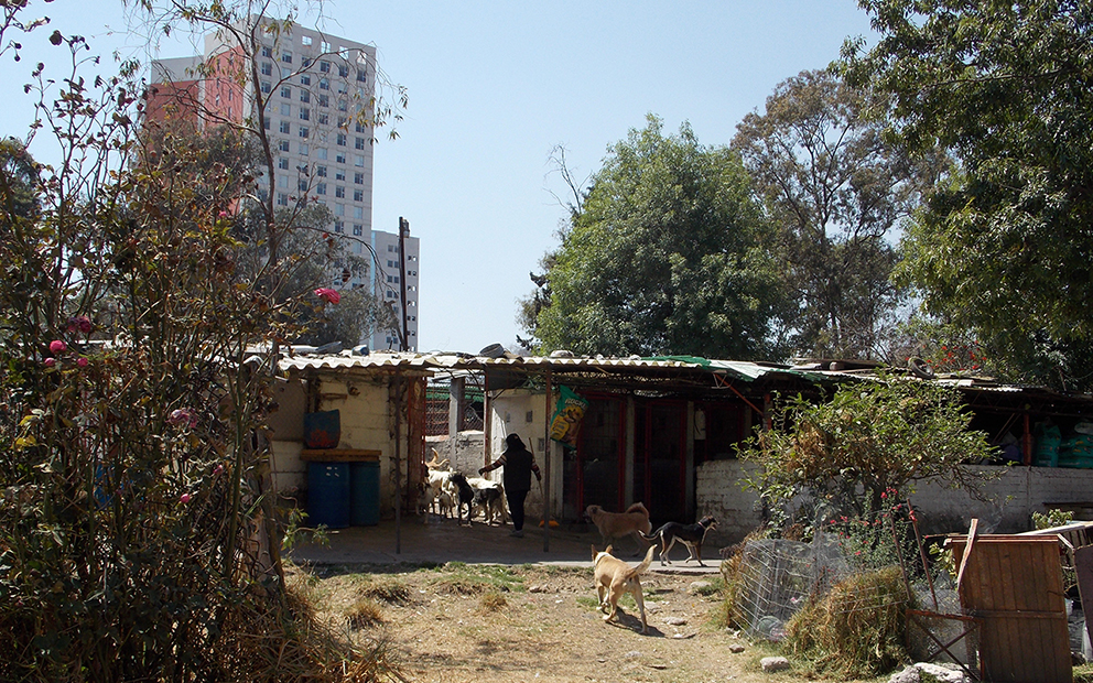 Refugio Franciscano en Cuajimalpa.