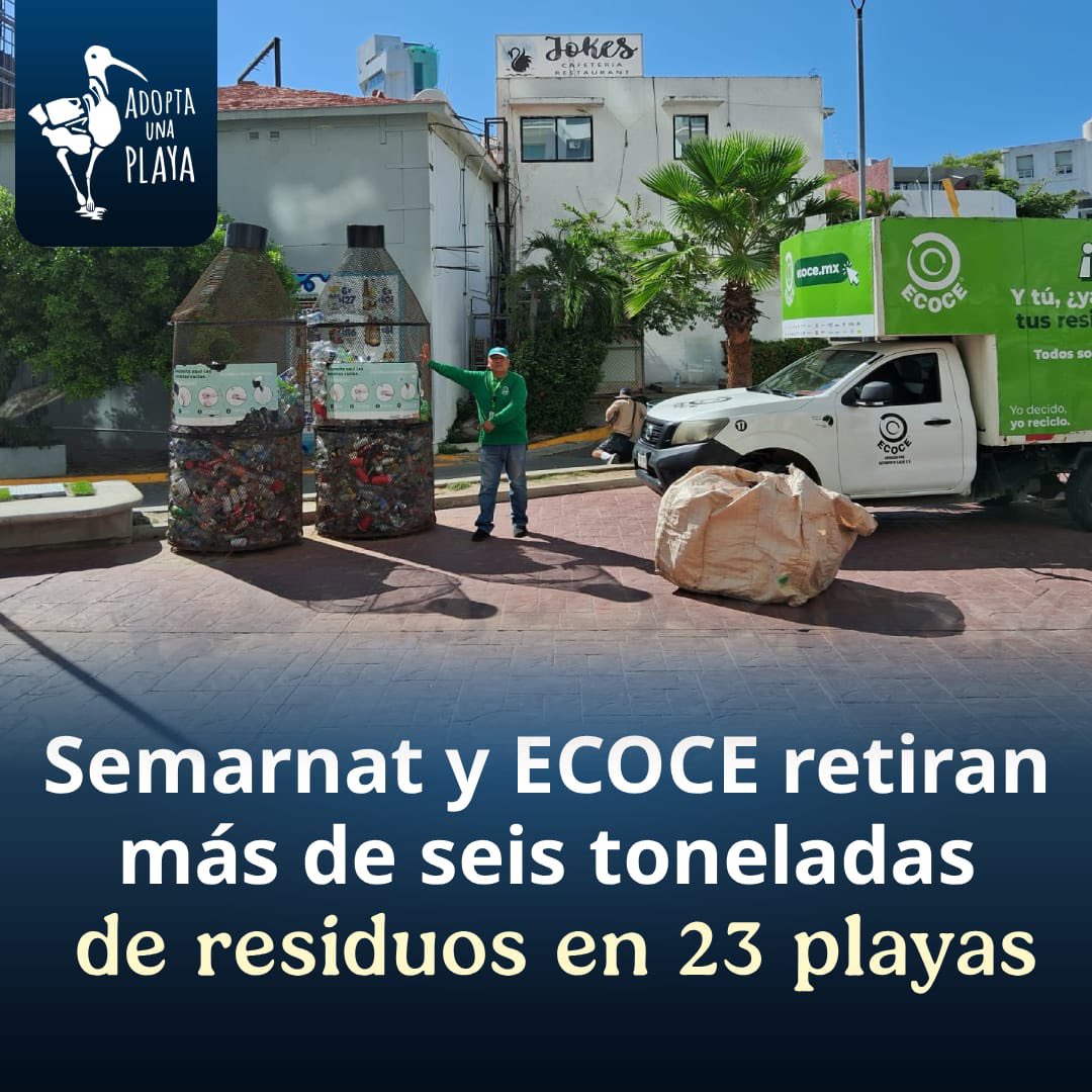 Semarnat y Ecoce limpian playas de México.
