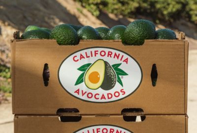 Productores de California piden aranceles al aguacate mexicano.