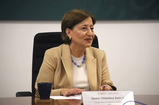 Ileana Villalobos, subsecretaria de Medio Ambiente y Recursos Naturales.
