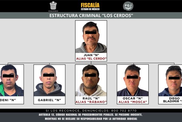 Caen Los Cerdos en el Estado de México.
