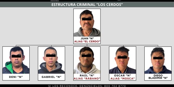 Caen Los Cerdos en el Estado de México.
