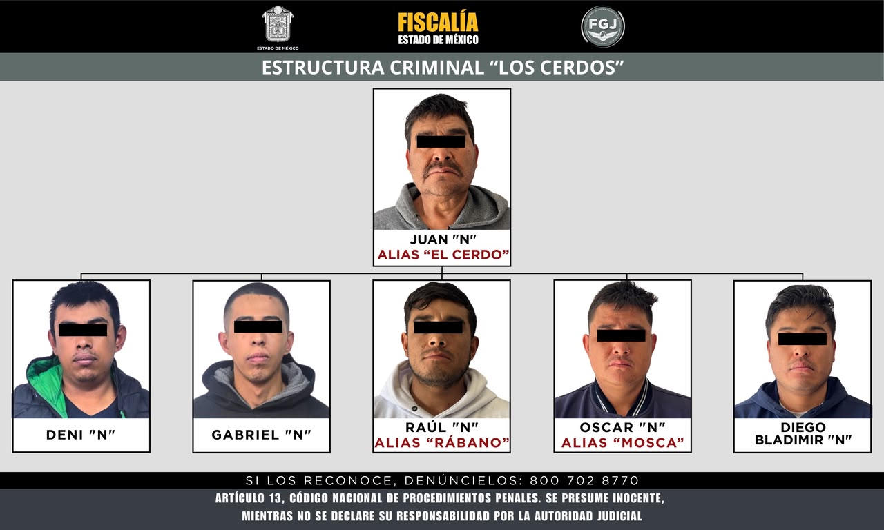 Caen Los Cerdos en el Estado de México.