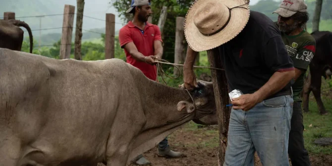 Confirman primer caso de gusano barrenador en humano, en Durango.