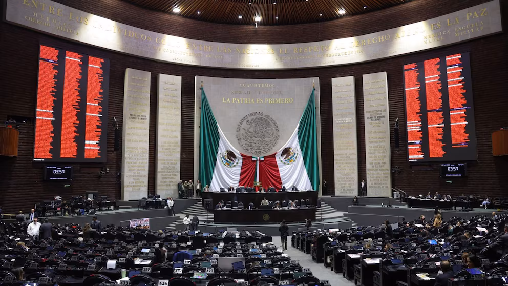 Cámara de Diputados buscaría perfil femenino para el INE.