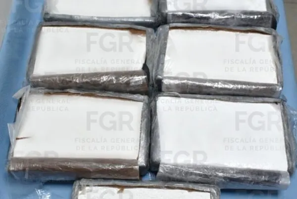 Vinculan a proceso a hombre en Michoacán por transporte de cocaína.