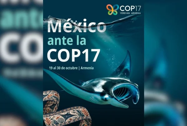 México busca más financiamiento ambiental en la COP17.