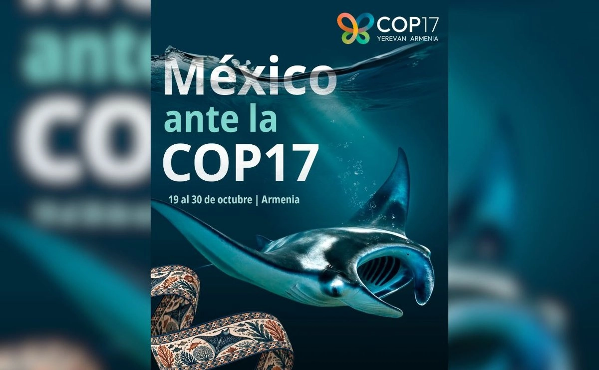 México busca más financiamiento ambiental en la COP17.