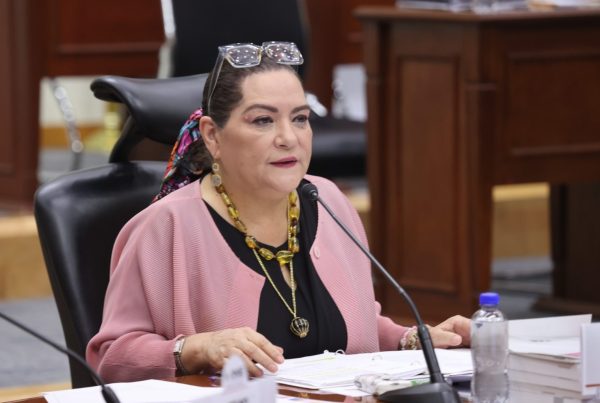 Guadalupe Taddei defiende al INE ante señalamientos por contratos.
