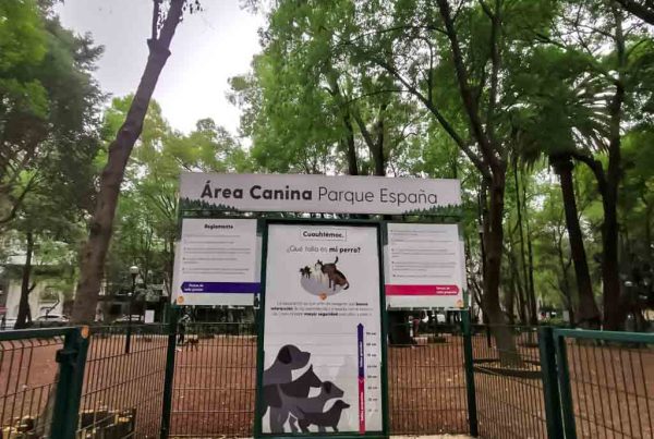 Fiscalía CDMX abre carpeta ante envenenamiento de perros en Parque España.
